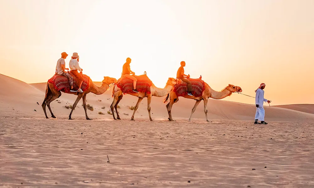 camel safari